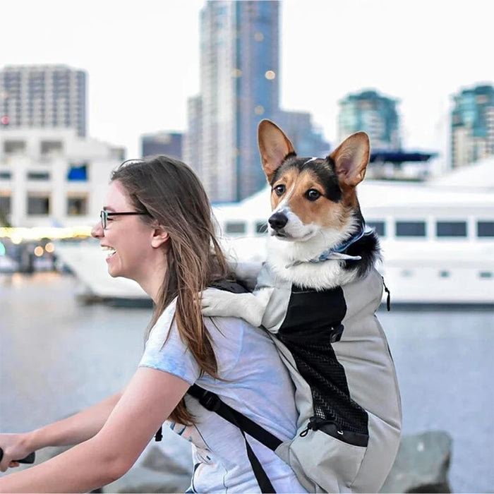 Mochila portaperros de nailon duradera para perros pequeños y medianos: mochila para bicicleta ventilada de alta calidad para viajes al aire libre y equipo para mascotas