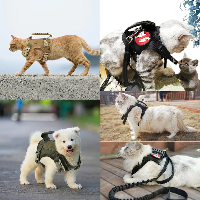 Gilet tactique pour chiot avec laisse pour petits chiens et chats – Gilet K9 réglable pour le service militaire et l'entraînement