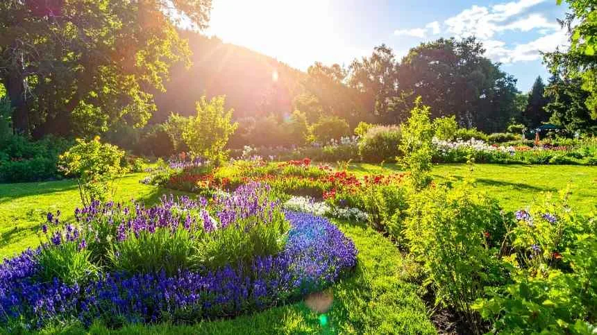 The Ultimate Guide to the Best Garden Products and Essentials for Every Outdoor Space
